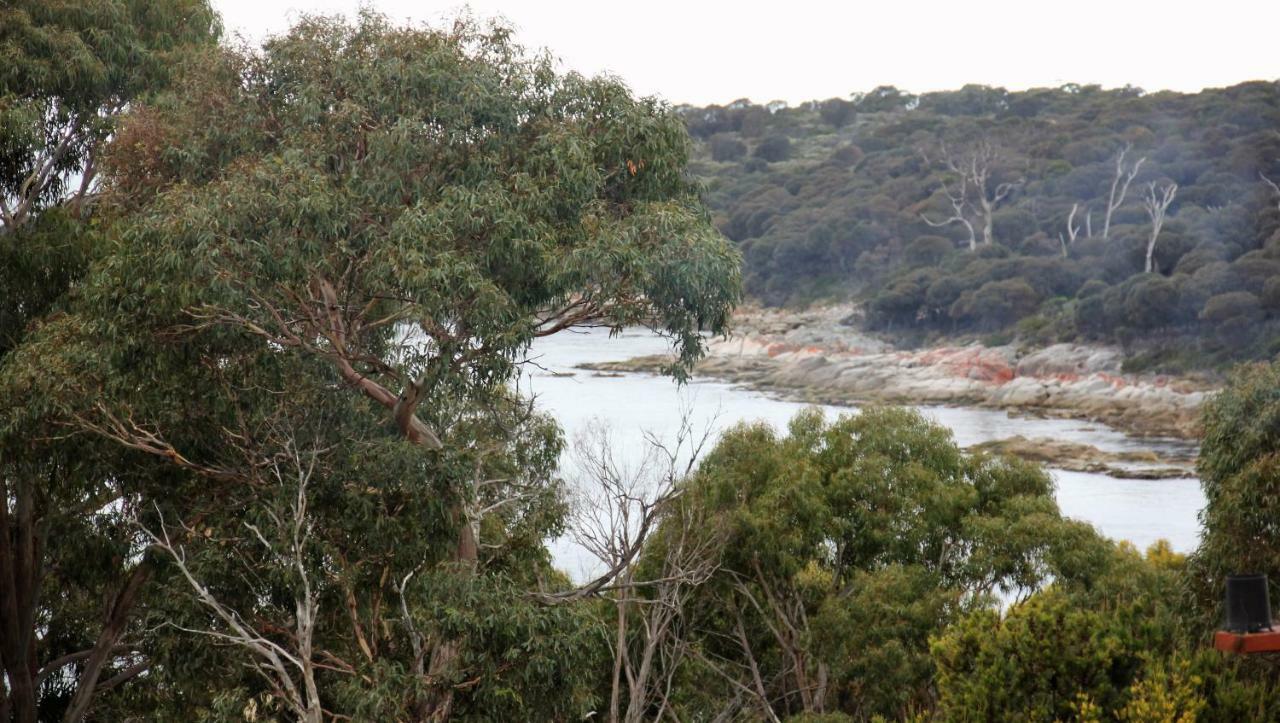 Bay Of Fires Seachange Ocean Frontage Binalong Bay 外观 照片
