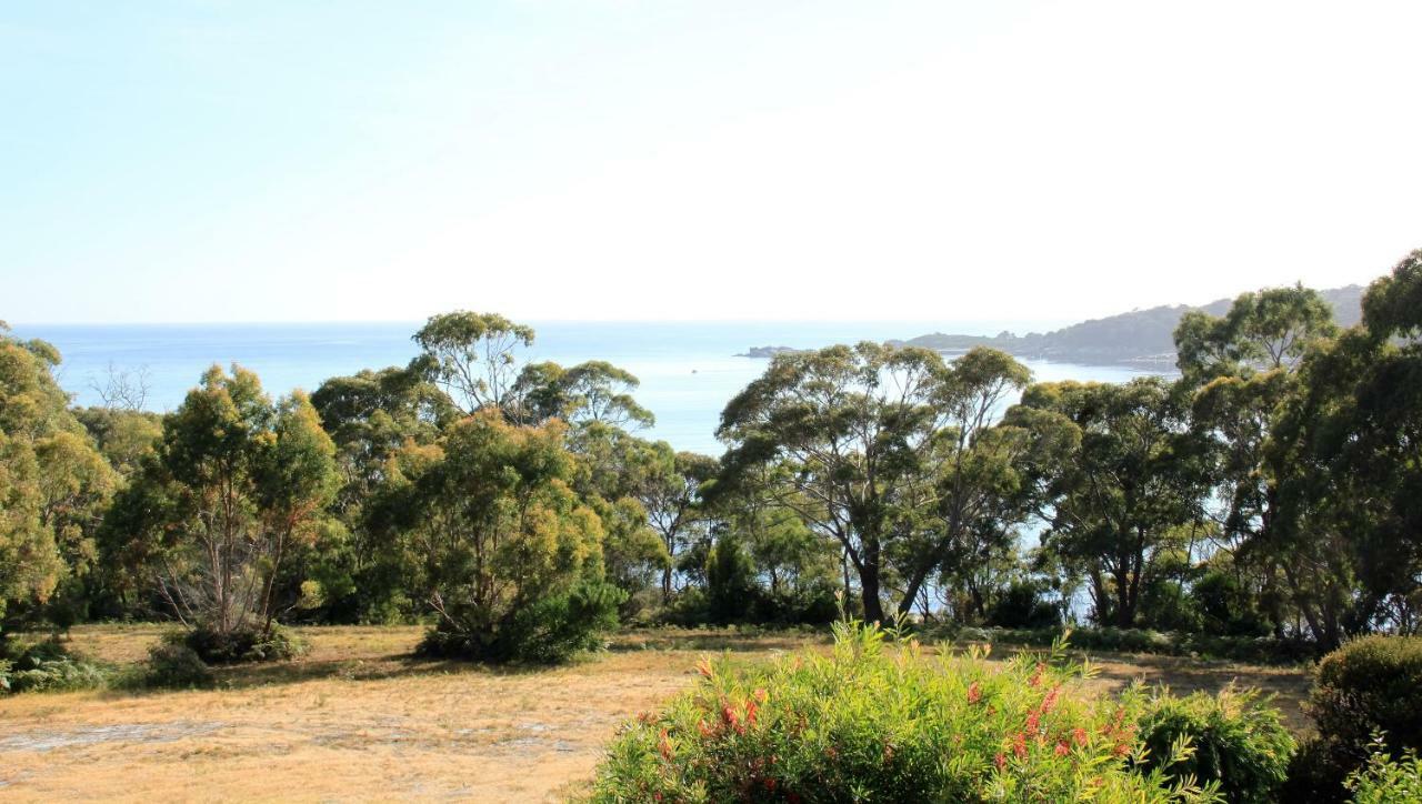 Bay Of Fires Seachange Ocean Frontage Binalong Bay 外观 照片