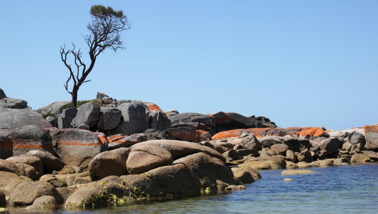 Bay Of Fires Seachange Ocean Frontage Binalong Bay 外观 照片