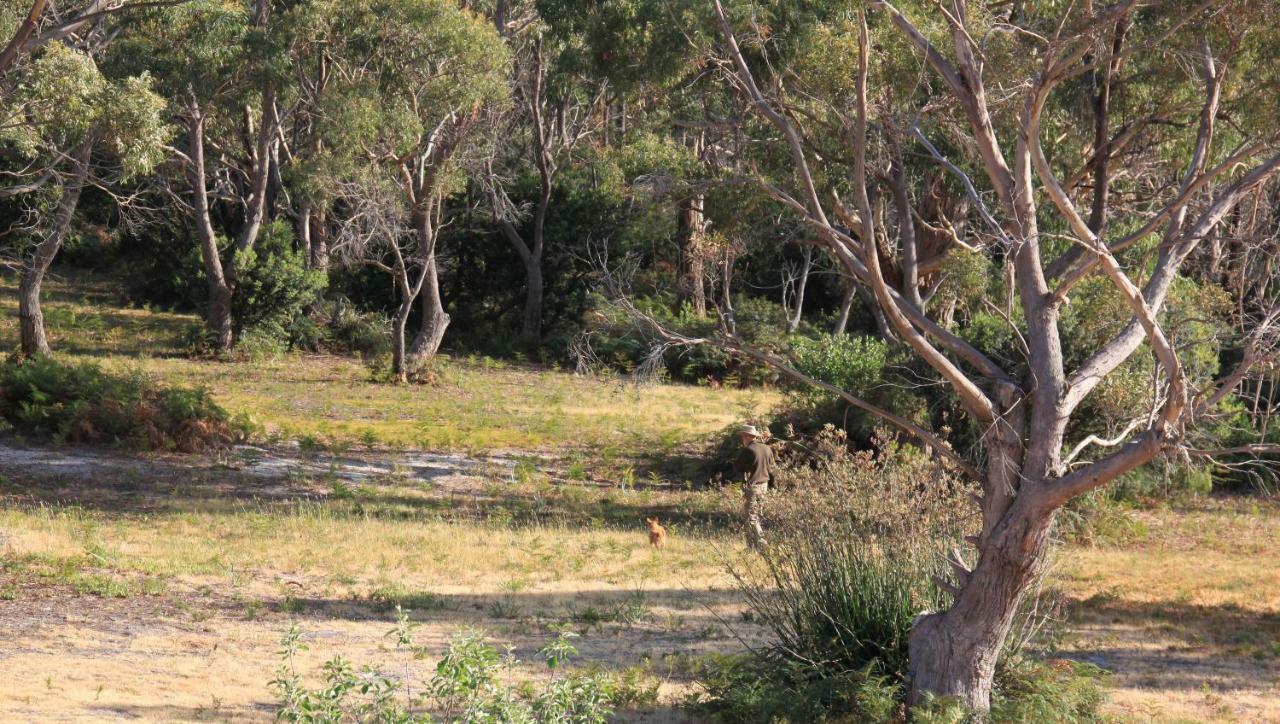 Bay Of Fires Seachange Ocean Frontage Binalong Bay 外观 照片